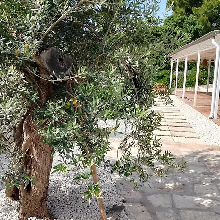 Le Sorelle Sea Front -villa Whit Private Pool * Scopello (Sicily)